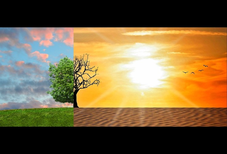 Will the Earth be Too Hot for your Grandchildren to Handle? The Science and Politics of Carbon Emissions and Storage