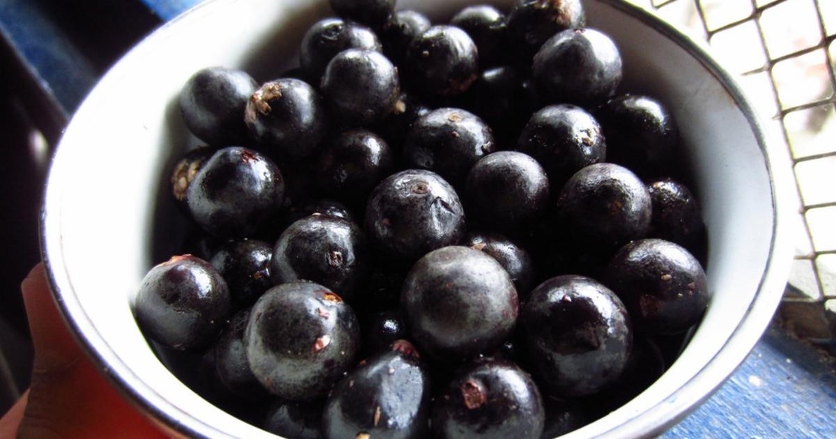 False labelling hides the truth about superfoods | Pursuit by ...