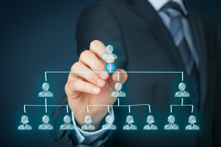 CEO Succession: The Search for Executive Talent
