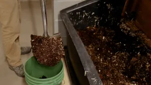 Flush Free Toilets - what’s the catch?