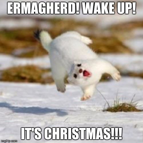 10 Funny Yet Fun Memes Showing That December is Coming