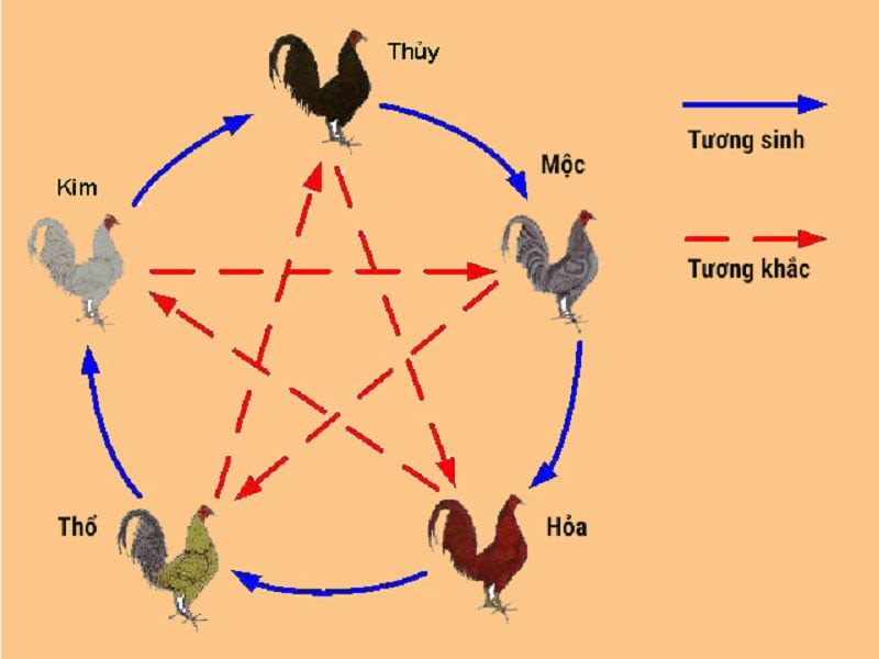 Bật mí những cách xem ngày đá gà tốt mà các sư kê nên biết xem ngay ga da theo ngu hanh - Bật mí những cách xem ngày đá gà tốt mà các sư kê nên biết