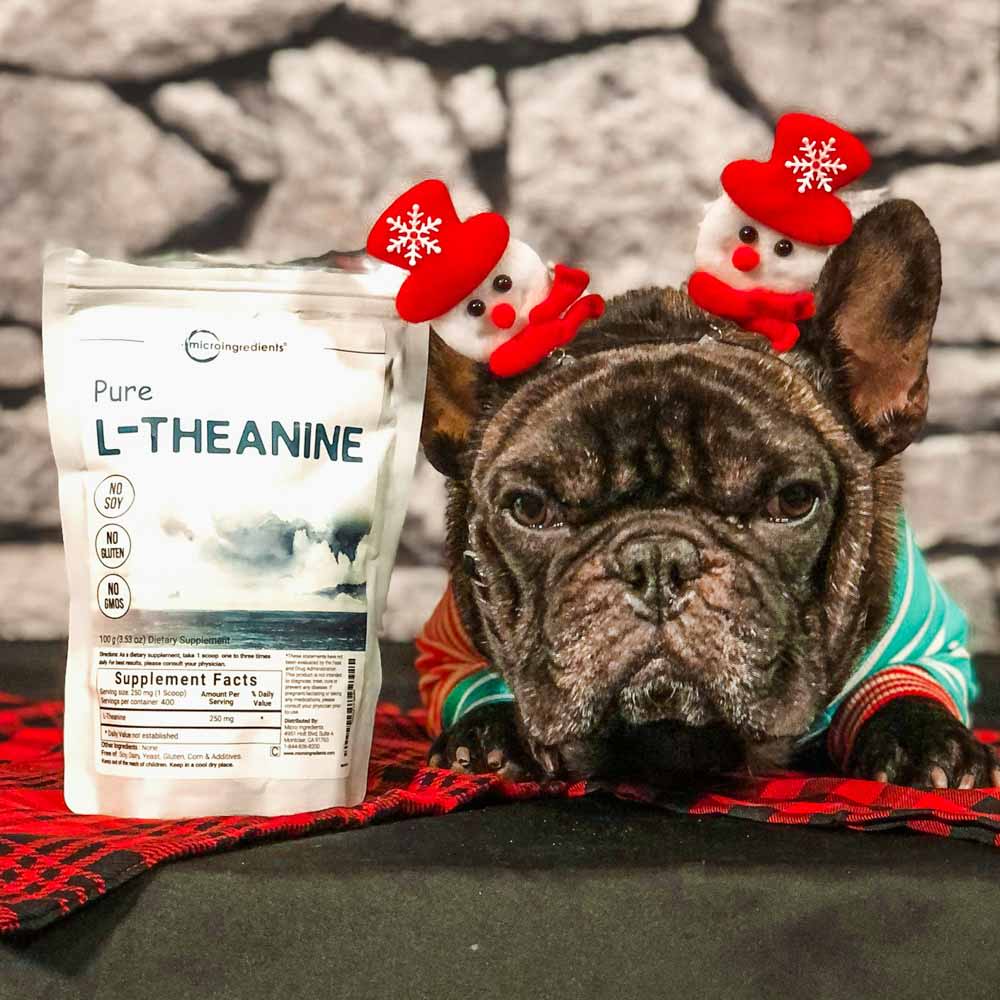 L-Theanine Reduces Anxiety and Stress In Dogs