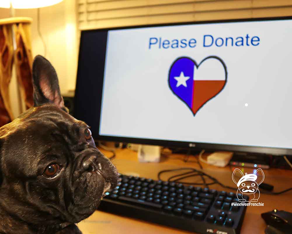 How to Donate to Hurricane Harvey Victims