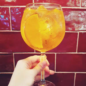 Vegan Gin Supper