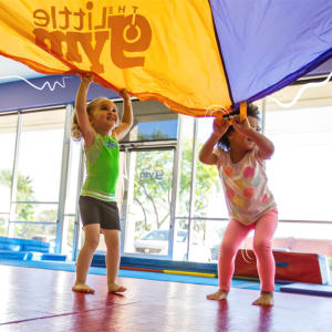 The Little Gym's Summer Camps