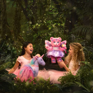 Beary Fairy Friends Magical Weekends