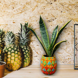 Pineapple Paint n' Plant
