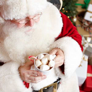 Cinnamon Rolls with Santa