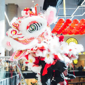 Lion Dance Parade