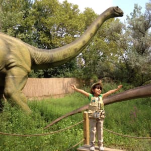 Field Station Dinosaur Show