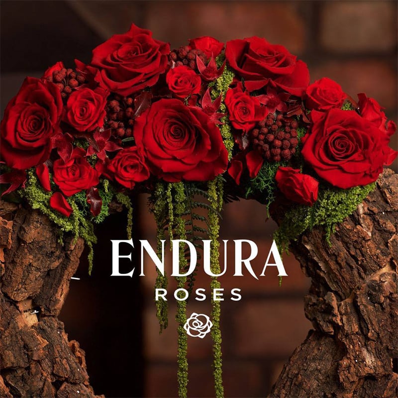 Endura Roses