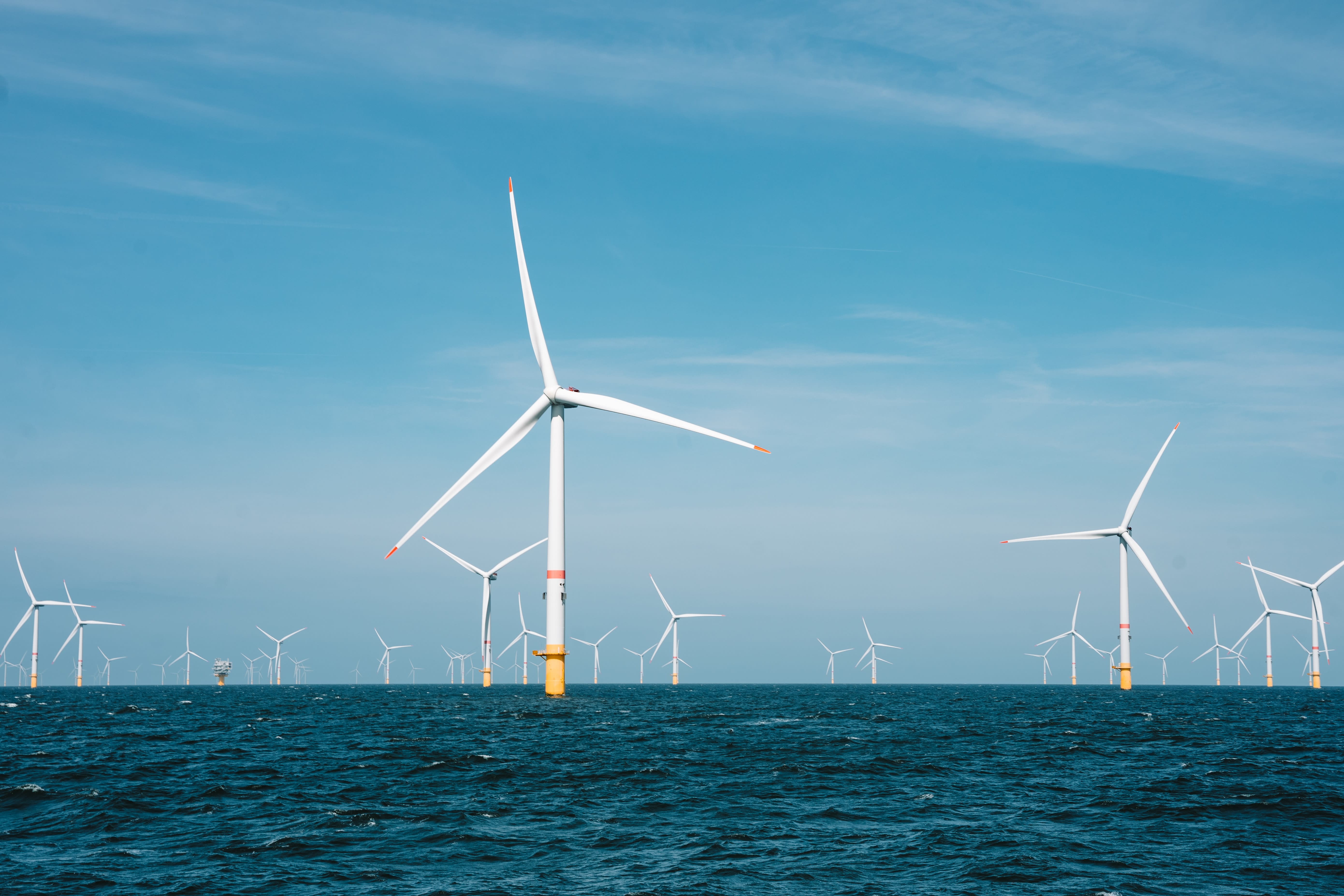 The Good, The Bad, and The Windy: The Pros and Cons of Wind Energy