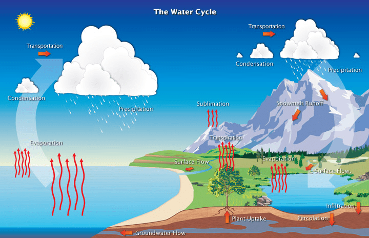 Is it Illegal to Collect Rainwater in the US? - Wildgrid Home