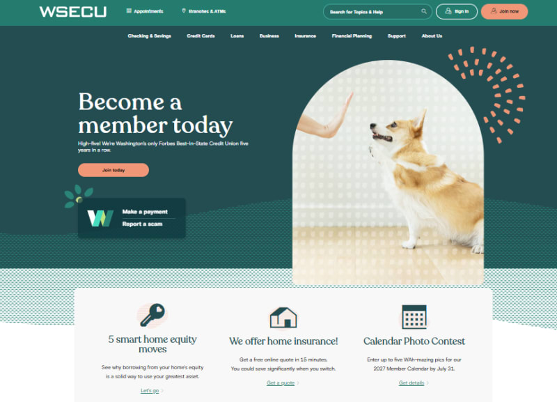 A person's hand high-fives a corgi in a white archway, with a teal background and text.