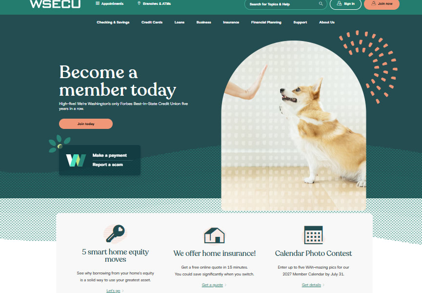 A person's hand high-fives a corgi in a white archway, with a teal background and text.